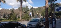 20220313_124500.jpg 20220313_124500.jpg