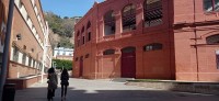 20220313_124927.jpg 20220313_124927.jpg