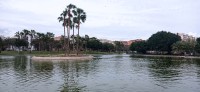 20220313_162925.jpg 20220313_162925.jpg