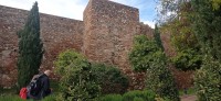 20220314_155956.jpg 20220314_155956.jpg