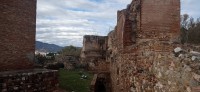 20220314_160115.jpg 20220314_160115.jpg