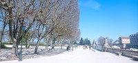 20220324_120730.jpg 20220324_120730.jpg