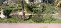 20220324_122116.jpg 20220324_122116.jpg