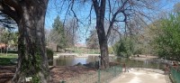 20220324_124015.jpg 20220324_124015.jpg
