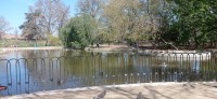 20220324_124049.jpg 20220324_124049.jpg