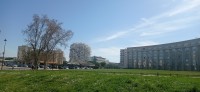 20220324_125944.jpg 20220324_125944.jpg