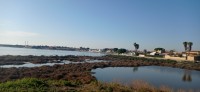 20220324_170344.jpg 20220324_170344.jpg