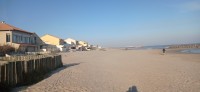 20220324_173000.jpg 20220324_173000.jpg