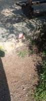 20220325_100225.jpg 20220325_100225.jpg