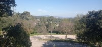20220325_100342.jpg 20220325_100342.jpg