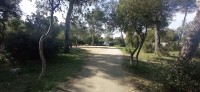 20220325_100403.jpg 20220325_100403.jpg