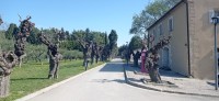 20220325_104509.jpg 20220325_104509.jpg