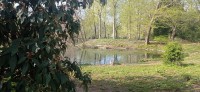 20220414_102100.jpg 20220414_102100.jpg