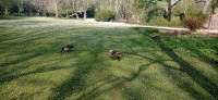 20220414_102346.jpg 20220414_102346.jpg