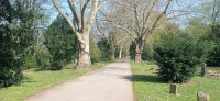 20220414_105516.jpg 20220414_105516.jpg