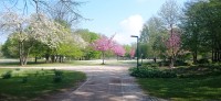 20220414_110719.jpg 20220414_110719.jpg