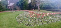 20220414_150011.jpg 20220414_150011.jpg