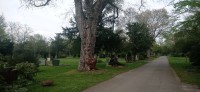 20220414_152845.jpg 20220414_152845.jpg