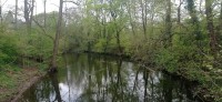 20220415_104525.jpg 20220415_104525.jpg
