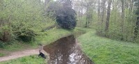 20220415_104917.jpg 20220415_104917.jpg