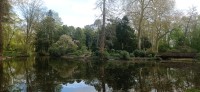 20220415_105153.jpg 20220415_105153.jpg