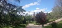 20220421_175934.jpg 20220421_175934.jpg