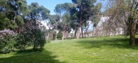 20220421_180112.jpg 20220421_180112.jpg