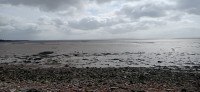 20220513_101048.jpg 20220513_101048.jpg