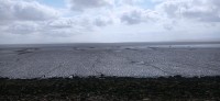 20220513_101444.jpg 20220513_101444.jpg
