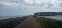 20220513_161401.jpg 20220513_161401.jpg