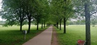 20220514_105049.jpg 20220514_105049.jpg