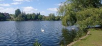 20220514_141823.jpg 20220514_141823.jpg