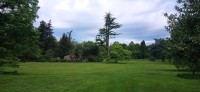 20220515_071152.jpg 20220515_071152.jpg