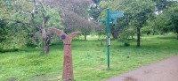 20220515_071312.jpg 20220515_071312.jpg
