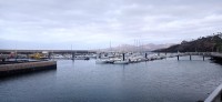 20220525_094446.jpg 20220525_094446.jpg
