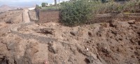 20220525_101106.jpg 20220525_101106.jpg