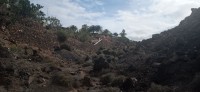 20220525_101212.jpg 20220525_101212.jpg