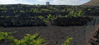 20220526_103605.jpg 20220526_103605.jpg