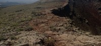 20220526_110001.jpg 20220526_110001.jpg