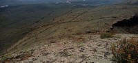 20220526_110326.jpg 20220526_110326.jpg