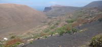 20220526_125957.jpg 20220526_125957.jpg