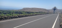 20220526_141055.jpg 20220526_141055.jpg