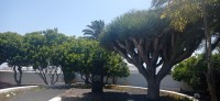 20220526_155733.jpg 20220526_155733.jpg