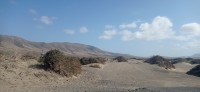 20220526_173526.jpg 20220526_173526.jpg
