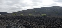 20220527_102540.jpg 20220527_102540.jpg