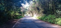 20220529_120128.jpg 20220529_120128.jpg