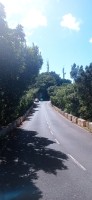 20220529_120444.jpg 20220529_120444.jpg