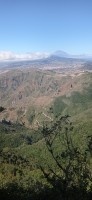 20220529_121100.jpg 20220529_121100.jpg