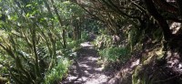 20220529_121428.jpg 20220529_121428.jpg