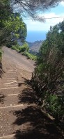 20220529_122038.jpg 20220529_122038.jpg